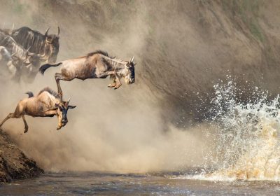 Maasai Mara National Reserve