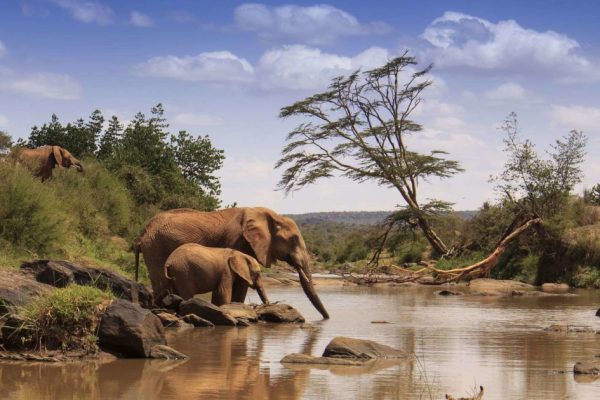 4 Days 3 Nights Safari Nairobi Samburu Ol Pejeta Luxury Safari